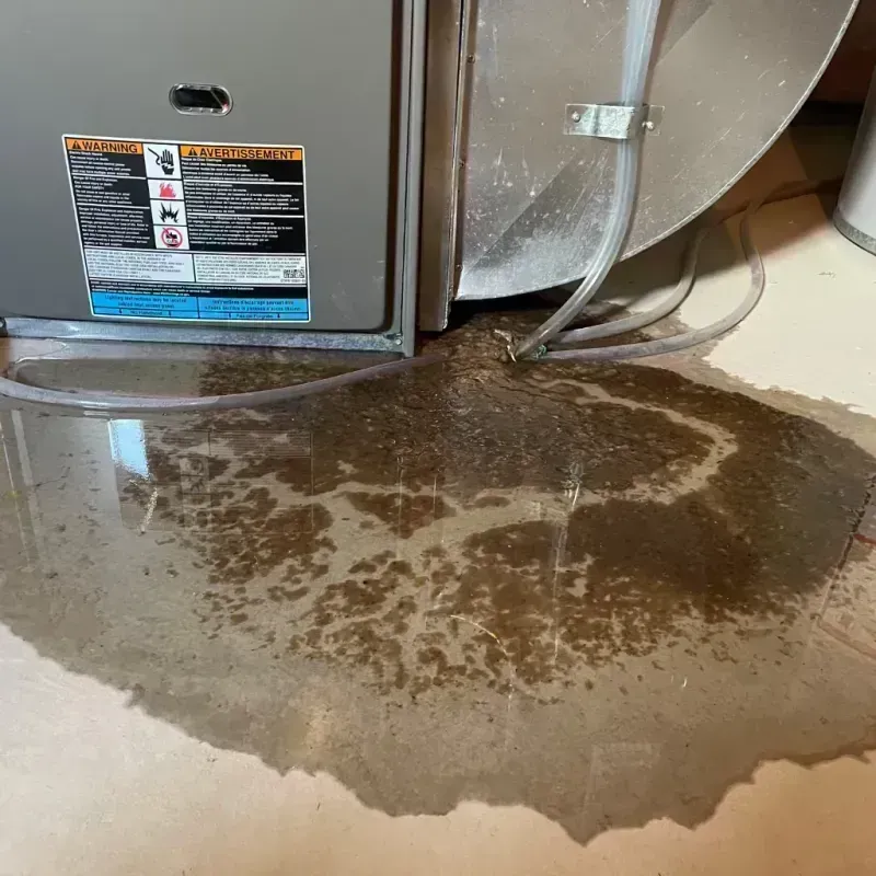 Appliance Leak Cleanup in West University Place, TX